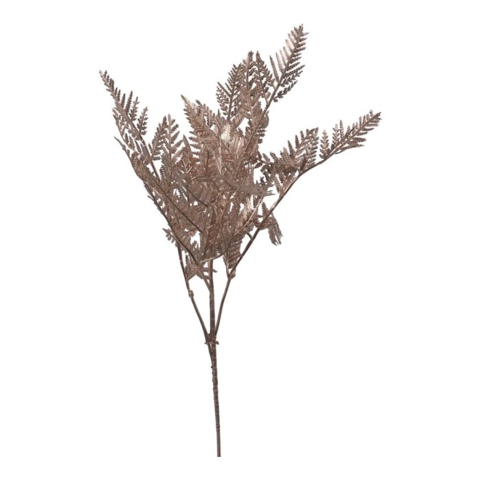 RAMO FELCE x 5 CM.86 CHAMPAGNE